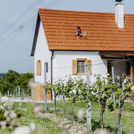 Urlaub Im Kellerstoeckl Dunst Apartment Strem Room photo